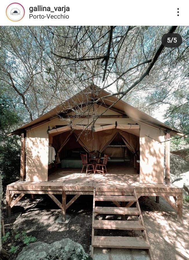 סוטה Camping Gallina Varja מראה חיצוני תמונה