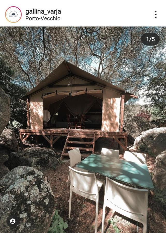 סוטה Camping Gallina Varja מראה חיצוני תמונה